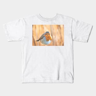 Robin in golden light Kids T-Shirt